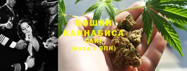 дживик Белокуриха