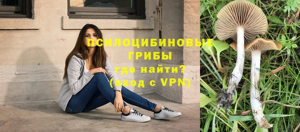 дживик Белокуриха