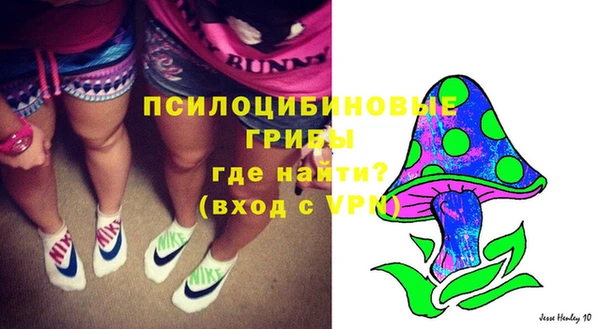 дживик Белокуриха
