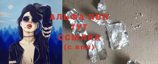 дживик Белокуриха