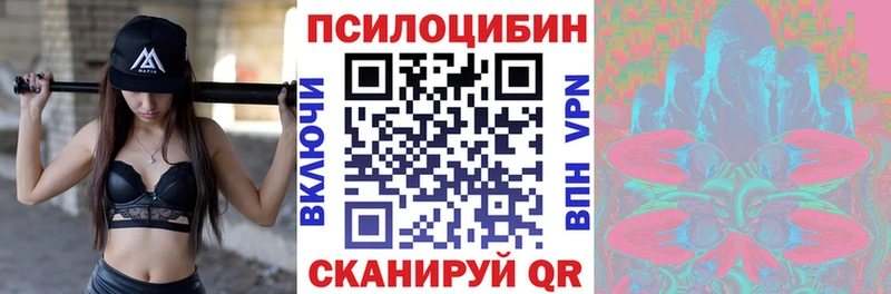 Галлюциногенные грибы мицелий  shop как зайти  Курчалой 